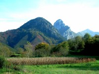 Cultivos, frutales y bosques con la Pica Peñamellera al fondo